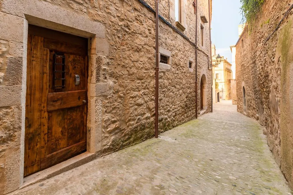 As Palau Dels Alemanys Suites Boutique Monument Gerona